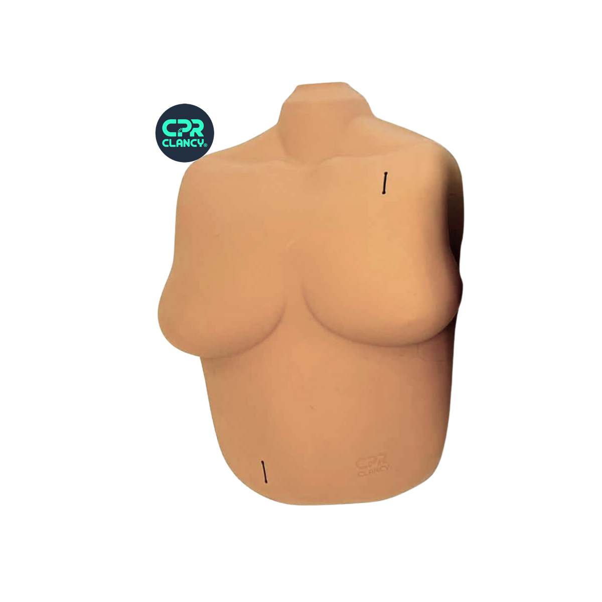 Female Skin Torso