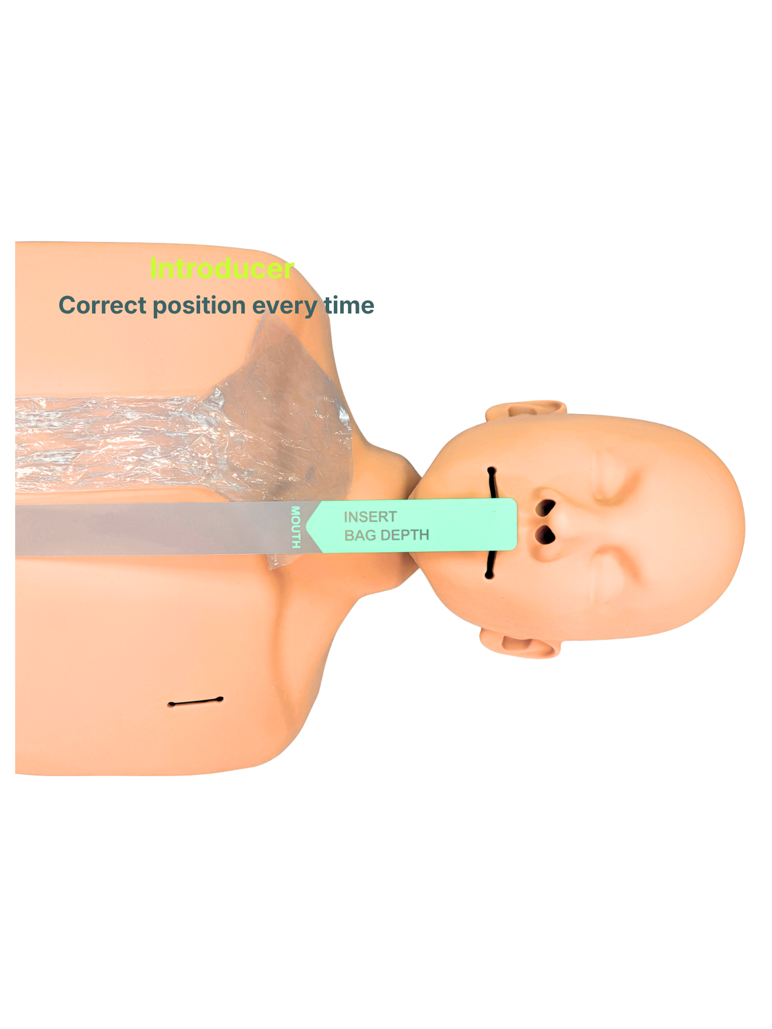 CPR CLANCY- Introducer
