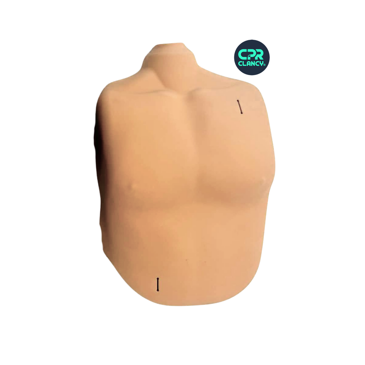 Male Torso